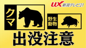 長岡市でクマ目撃 警察が注意呼びかけ【新潟】