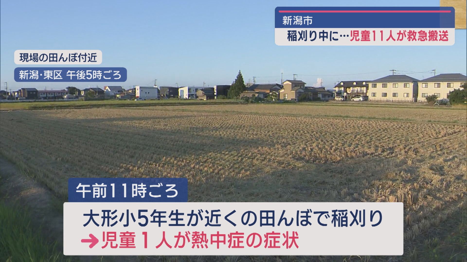 新潟市で稲刈り中の児童11人が熱中症で救急搬送【新潟】 2024年09月10日(火)