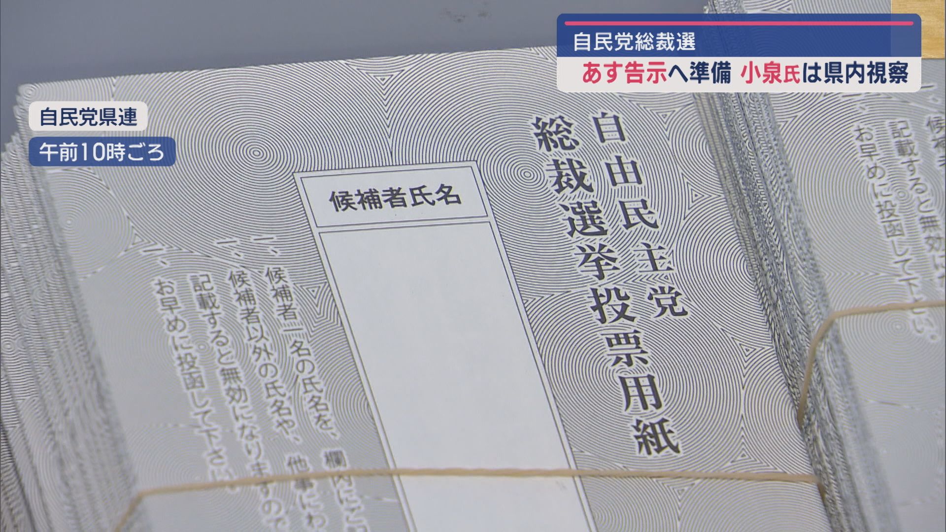 【自民党総裁選｜12日告示】県内で党員投票準備進む：岩村幹事長「多様な候補者は好ましい兆候」【新潟】