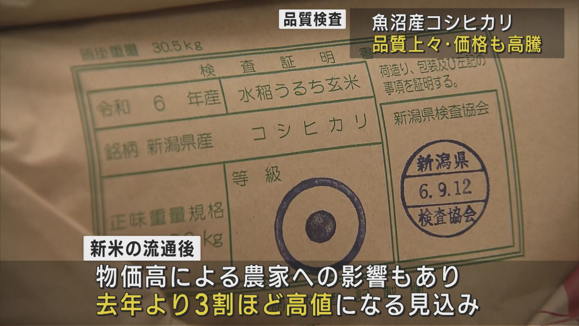 魚沼産コシヒカリの品質良好も 価格高騰が続く見通し【新潟】