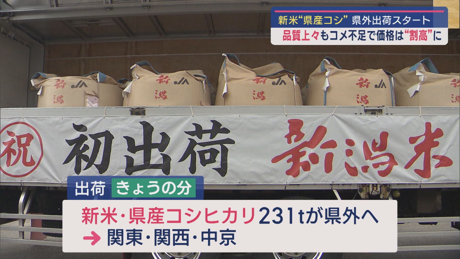 県産コシヒカリの県外への出荷始まる－コメ不足解消期待も、新米価格は割高の見通し【新潟】