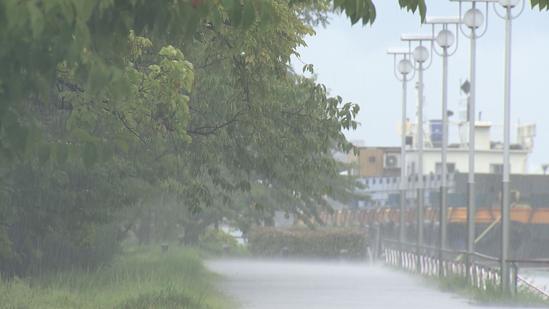 【土砂災害警戒情報】上越･柏崎･佐渡市に大気不安定、大雨･落雷･突風などにも注意を【新潟】