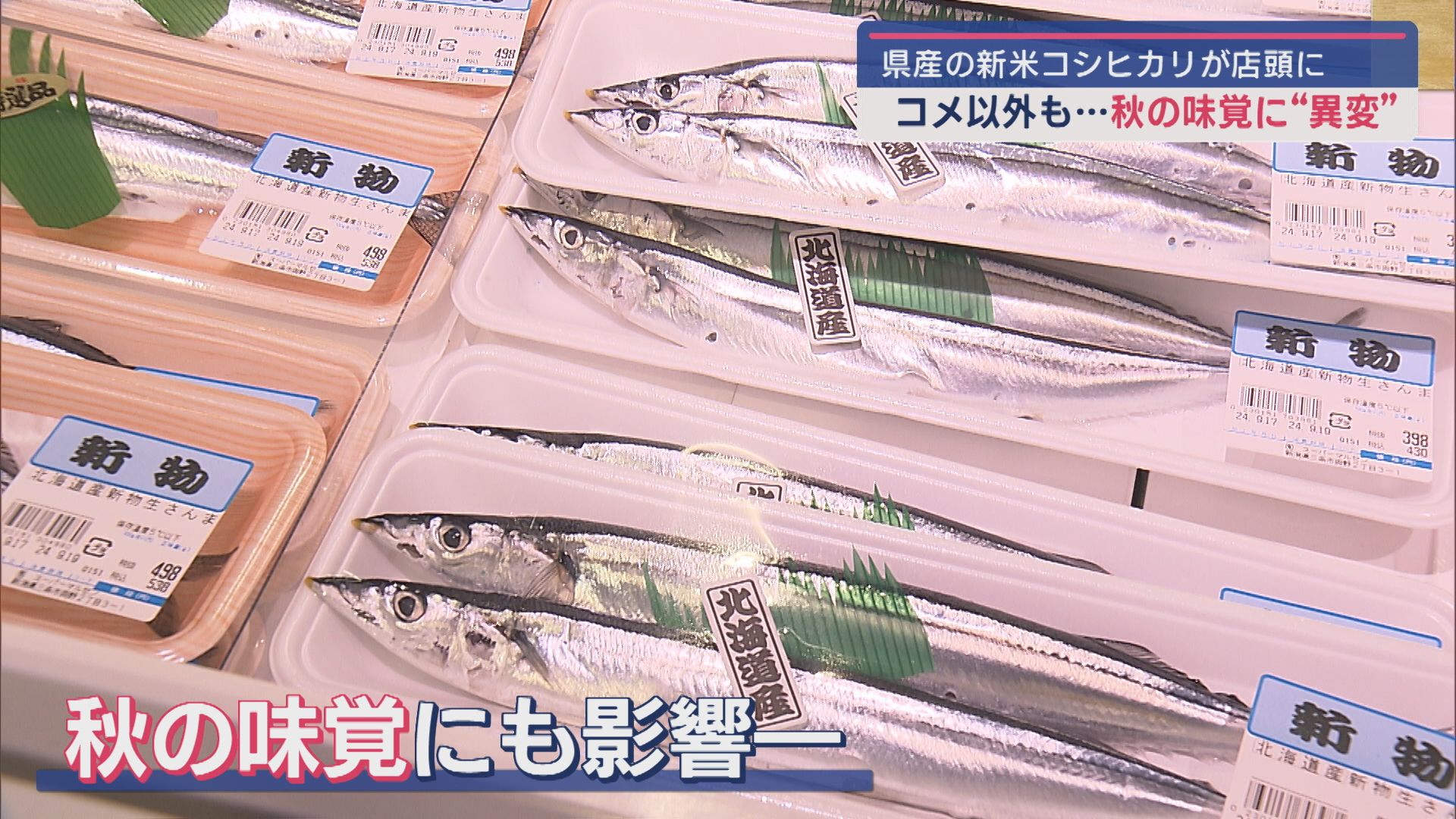 コメ以外も高騰？秋の味覚に”異変”－県産の新米コシヒカリ店頭に並び始める【新潟】