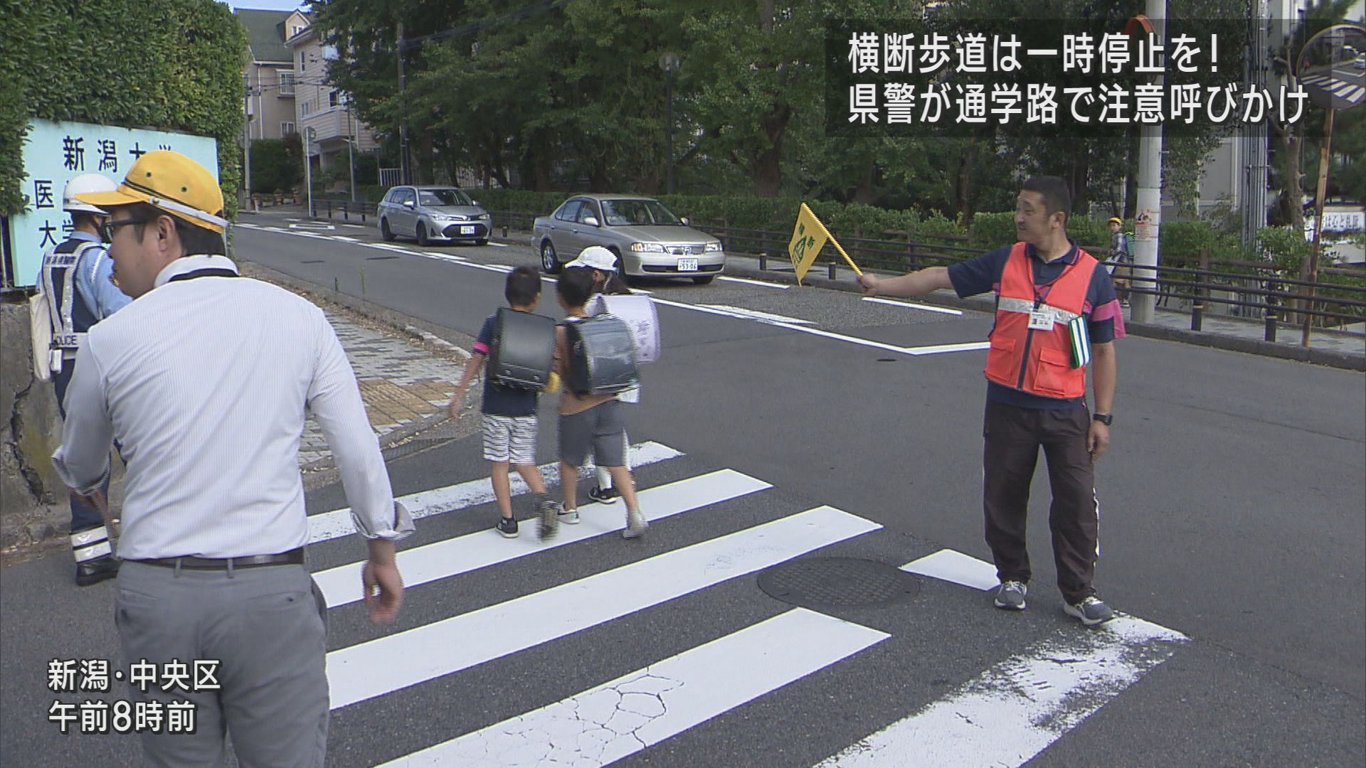 県警「横断歩道では一時停止を」ドライバーに歩行者優先を呼びかけ【新潟】